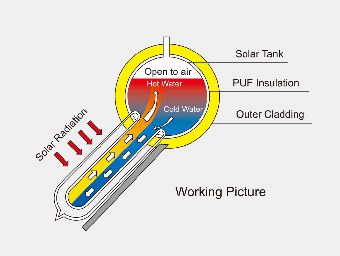 Hair-Care Website Template